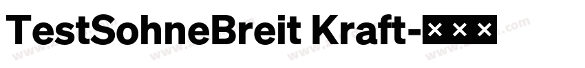 TestSohneBreit Kraft字体转换